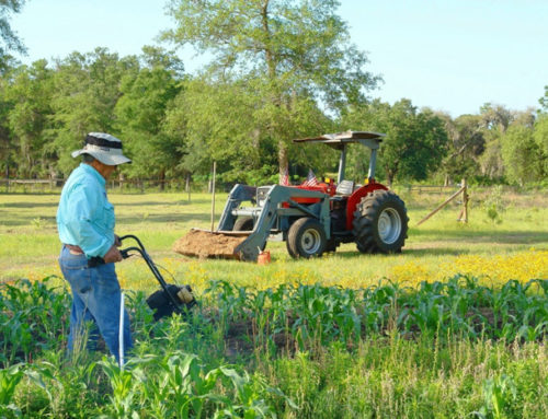 Organic Farming: Key to Healthy Living